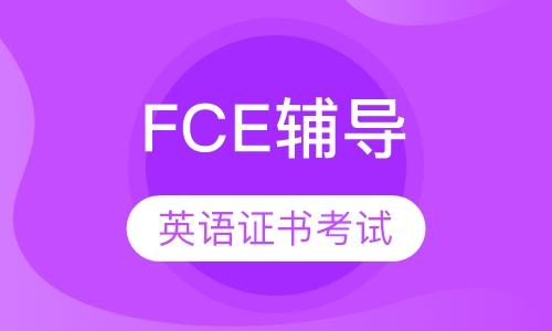 FCE精讲 强化 冲刺