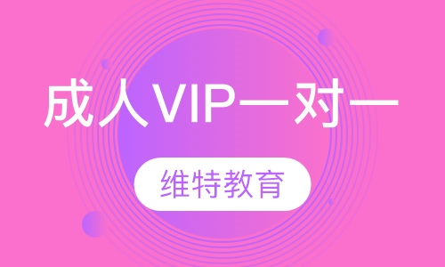 成人VIP一对一课程