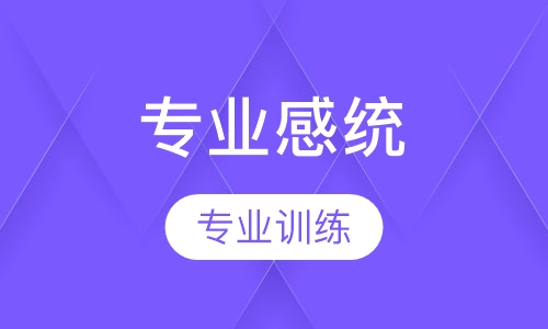 专业感统课