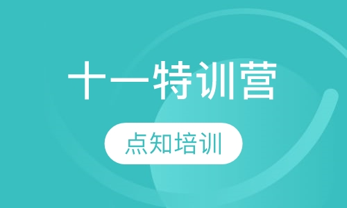 十一特训营