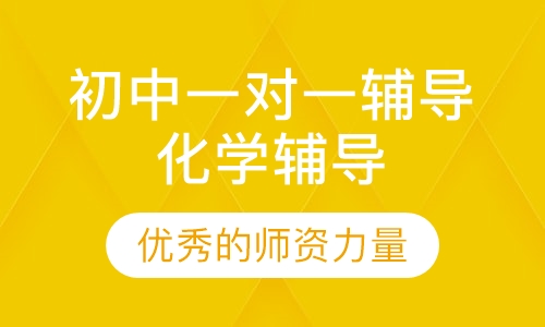 初中一对一辅导化学辅导