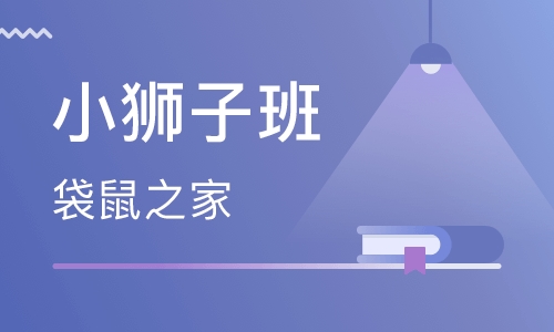 Lion小狮子班(4岁以上-6岁)
