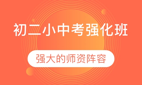 初二小中考强化班