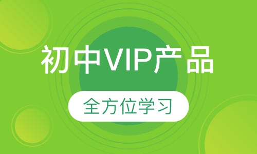 初中VIP产品
