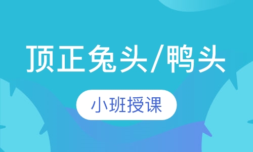 顶正兔头/鸭头