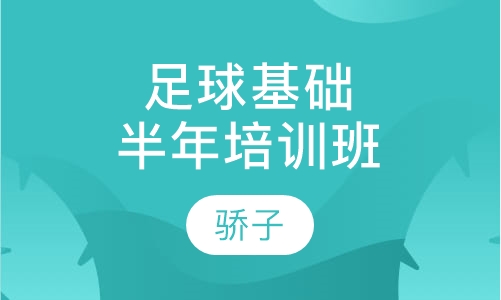 足球基础培训半年班