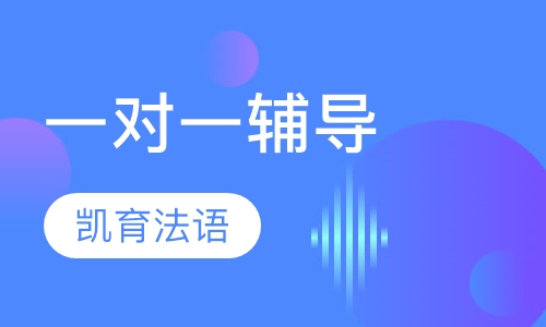 一对一辅导