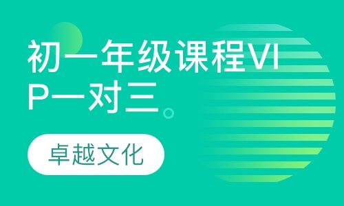 卓越文化初一年级课程VIP一对三
