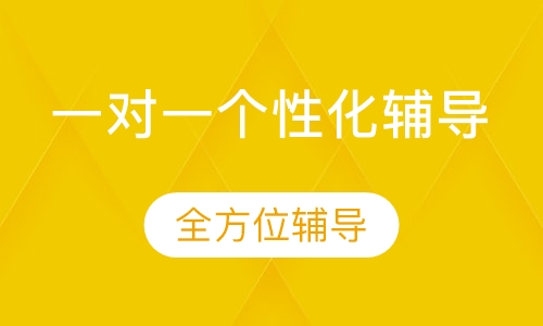 一对一个性化辅导