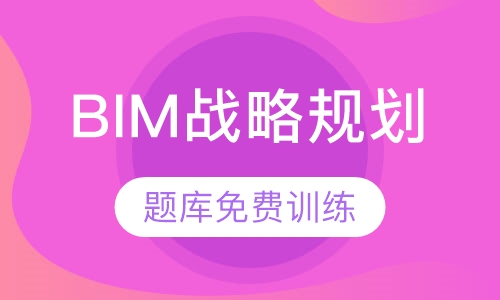 BIM战略规划 （理论取证班）