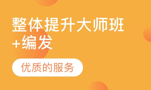 整体提升大师班+编发