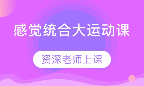 感觉统合大运动课
