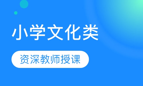 小学文化类