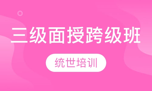 三级面授跨级班
