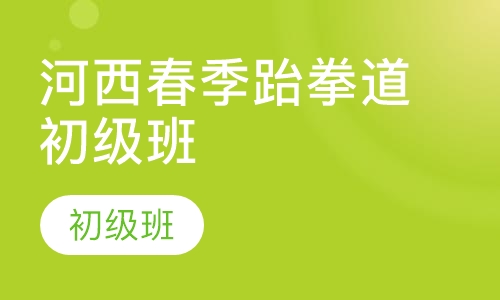 河西春季跆拳道初级班