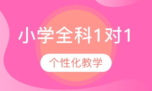 小学全科1对1