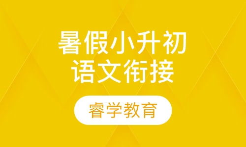暑假小升初语文衔接