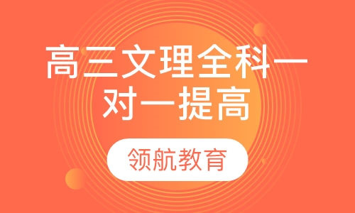 高三文理全科一对一提高