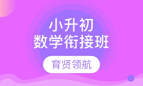 小升初数学衔接班