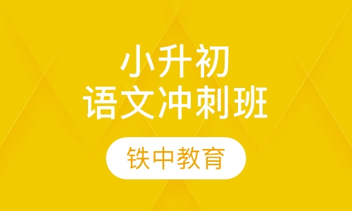 小升初语文冲刺班
