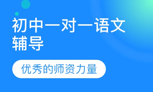 初中一对一语文辅导