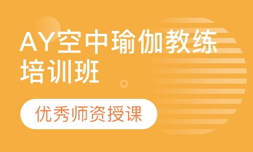AY空中瑜伽教练培训班