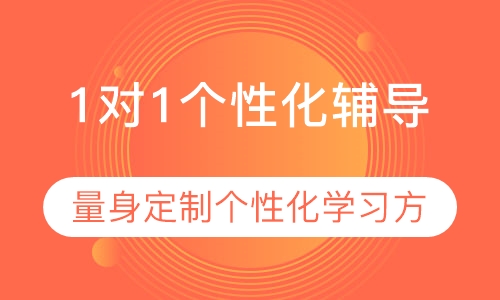 1对1个性化辅导
