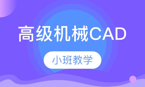 UG高级综合工程师班