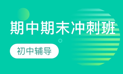 期中期末冲刺班