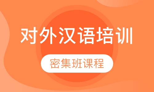 密集班课程