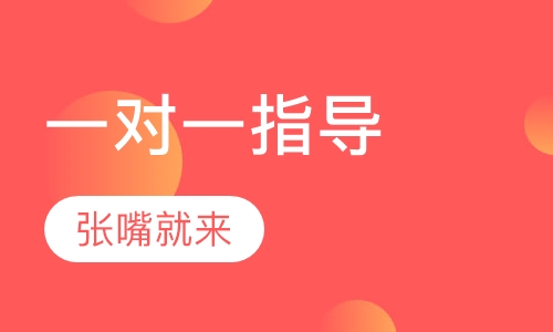 全年演讲一对一指导