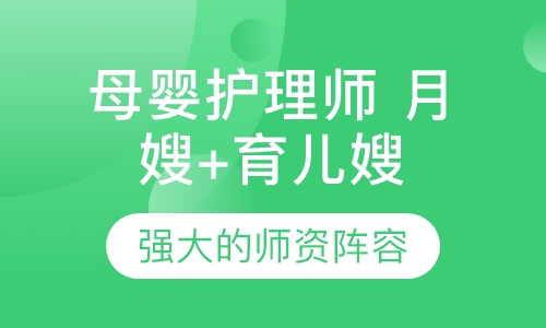 母婴护理师（月嫂+育儿嫂）