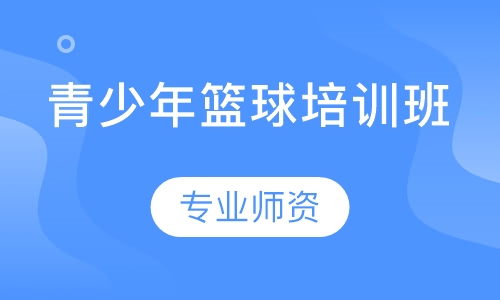 青少年篮球培训班