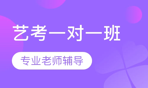 艺考一对一班