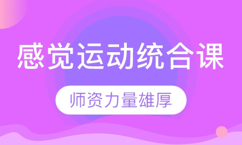 感觉运动统合课