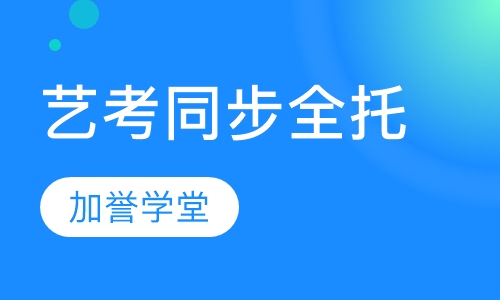 艺考同步全托