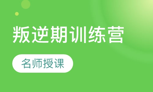 叛逆期训练营