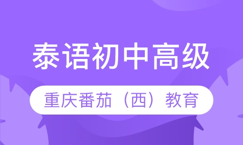 泰语初/中/高级