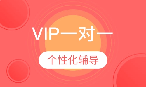 VIP一对一个性化辅导