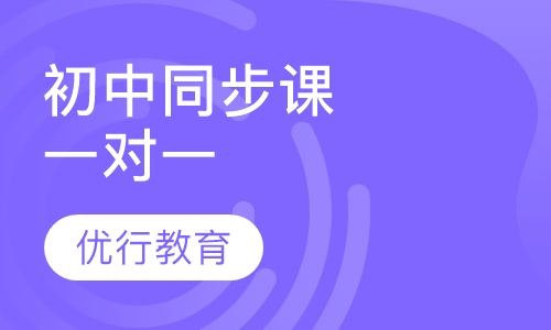 初中各科同步辅导课程一对一