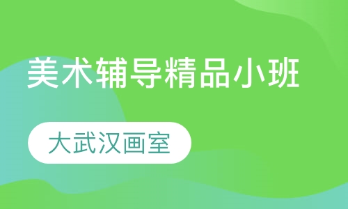 美术辅导精品小班
