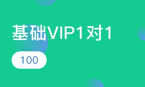 基础VIP1对1