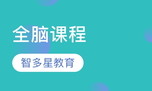 全脑课程