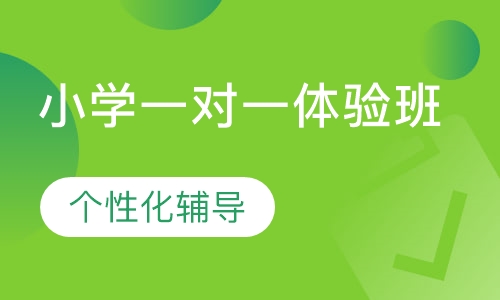 小学一对一体验班