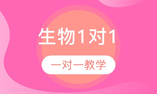 初中生物1对1