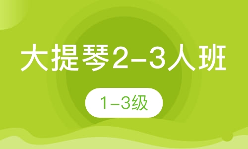 大提琴2-3人班  1-3级