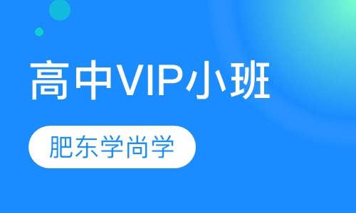 高中VIP小班