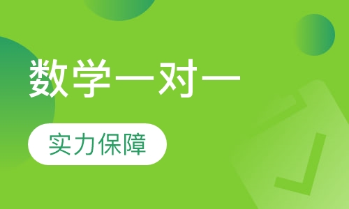 数学一对一专题
