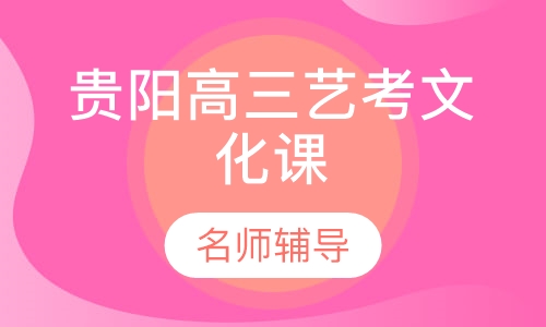 云岩艺术生名师辅导课