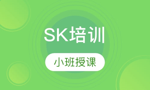 SK培训